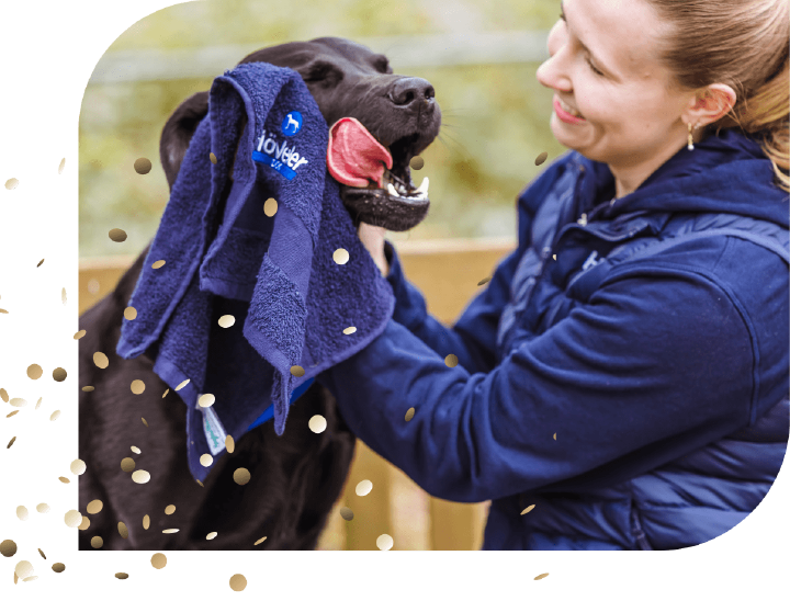 Hoeveler Dog Juli Aktion Gute Vorsorge